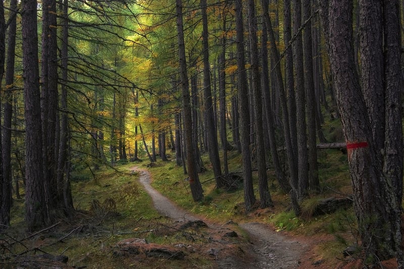 Labyrinth Path